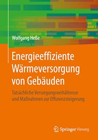 Energieeffiziente Wärmeversorgung von Gebäuden - Wolfgang Hesse - E-Book