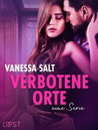 Verbotene Orte: eine Serie - Vanessa Salt - E-Book + Hörbuch