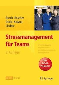 Stressmanagement für Teams - Christine Busch - E-Book