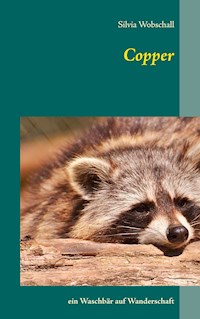 Copper - Silvia Wobschall - E-Book