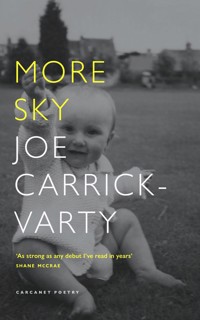 More Sky - Joe Carrick-Varty - E-Book