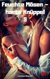 Feuchte Mösen – harte Knüppel 9 - Lariana Bouche - E-Book