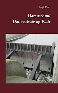 Datenschuul - Birgit Pauls - E-Book