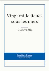 Vingt mille lieues sous les mers - Jules Verne - E-Book
