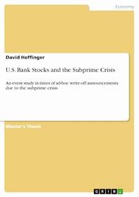 U.S. Bank Stocks and the Subprime Crisis - David Hoffinger - E-Book