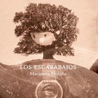 Los escarabajos - Macarena Moraña - Hörbuch