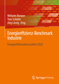 Energieeffizienz-Benchmark Industrie -  - E-Book