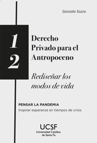 Derecho privado para el antropoceno - Gonzalo Sozzo - E-Book