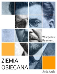 Ziemia obiecana - Wladyslaw Stanislaw Reymont - E-Book