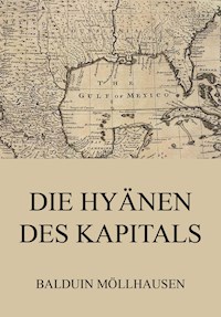 Die Hyänen des Kapitals - Balduin Möllhausen - E-Book