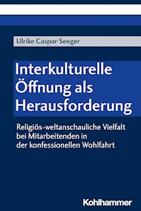 Interkulturelle Öffnung als Herausforderung - Ulrike Caspar-Seeger - E-Book