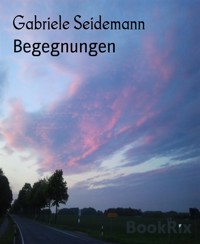 Begegnungen - Gabriele Seidemann - E-Book