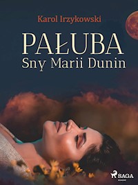 Pałuba. Sny Marii Dunin - Karol Irzykowski - E-Book