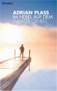 Im Nebel auf dem Wasser gehen - Adrian Plass - E-Book