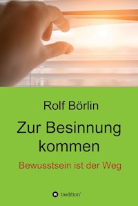 Zur Besinnung kommen - Rolf Börlin - E-Book