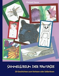Sammelsurium der Fantasie - Christel Hasse - E-Book