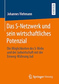 Das S-Netzwerk und sein wirtschaftliches Potenzial - Johannes Viehmann - E-Book
