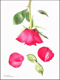 Ein zerrissenes Leben - Benno Wunder - E-Book