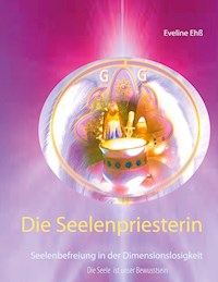 Die Seelenpriesterin - Eveline Ehß - E-Book