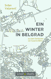 Ein Winter in Belgrad - Srdan Valjarevic - E-Book