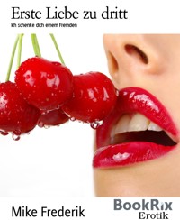 Erste Liebe zu dritt - Mike Frederik - E-Book