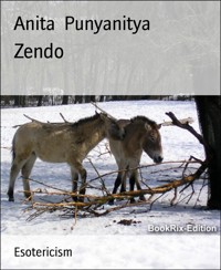 Zendo - Anita Punyanitya - E-Book