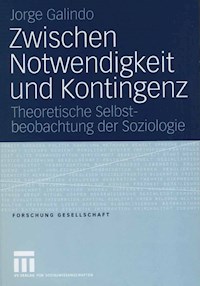 Zwischen Notwendigkeit und Kontingenz - Jorge Lionel Galindo - E-Book