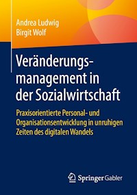 Veränderungsmanagement in der Sozialwirtschaft - Andrea Ludwig - E-Book