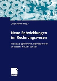 Neue Entwicklungen im Rechnungswesen -  - E-Book