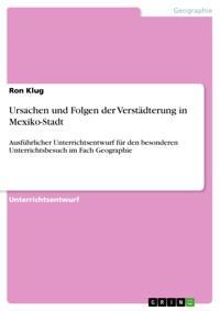 Ursachen und Folgen der Verstädterung in Mexiko-Stadt - Ron Klug - E-Book