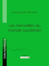 Les merveilles du monde souterrain - Louis-Laurent Simonin - E-Book