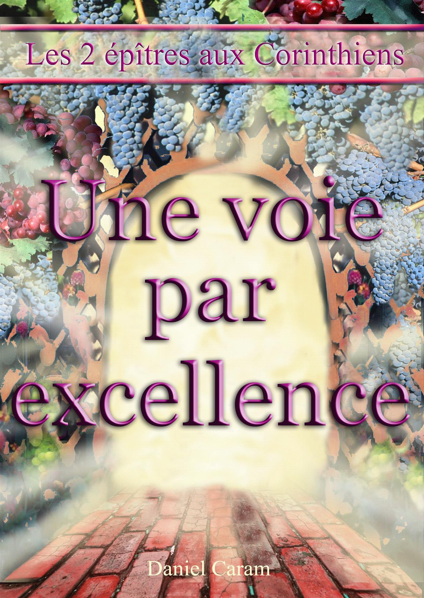 Une voie par excellence - Rev. Daniel G. Caram - E-Book