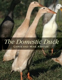 Domestic Duck - Mike Ashton - E-Book