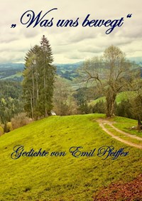 Was uns bewegt - Emil Pfeiffer - E-Book
