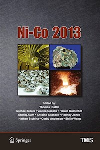 Ni-Co 2013 -  - E-Book