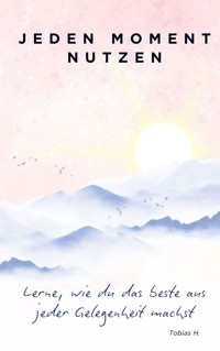 Jeden Moment nutzen - Tobias Hopfmüller - E-Book