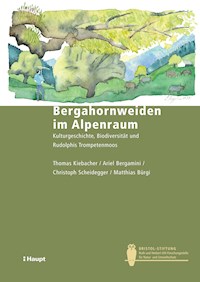 Bergahornweiden im Alpenraum - Thomas Kiebacher - E-Book
