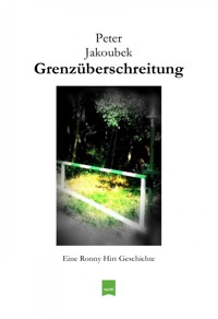 Grenzüberschreitung - Eine Ronny Hirt Geschichte - Peter Jakoubek - E-Book