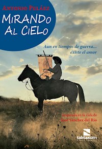 Mirando al Cielo - Antonio Peláez - E-Book