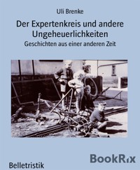 Der Expertenkreis und andere Ungeheuerlichkeiten - Uli Brenke - E-Book