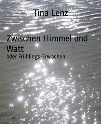 Zwischen Himmel und Watt - Tina Lenz - E-Book