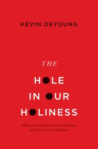The Hole in Our Holiness - Kevin DeYoung - E-Book