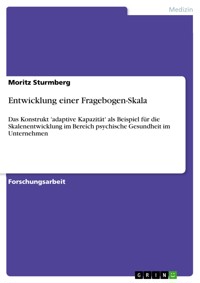 Entwicklung einer Fragebogen-Skala - Moritz Sturmberg - E-Book