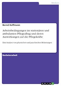 Arbeitsbedingungen im stationären und ambulanten Pflegealltag und deren Auswirkungen auf die Pflegekräfte - Bernd Hoffmann - E-Book
