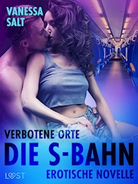 Verbotene Orte: Die S-Bahn - Erotische Novelle - Vanessa Salt - E-Book