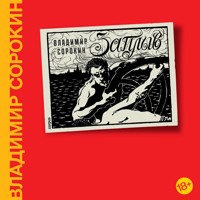 Заплыв - Сорокин Владимир - Hörbuch