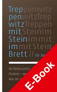 Treppenwitz mit Stein im Brett - Till Bastian - E-Book