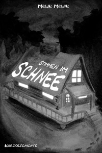 Stimmen im Schnee - Malik Malak - E-Book