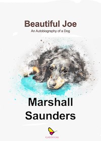 Beautiful Joe - Marshall Saunders - E-Book