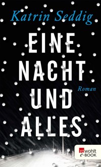 Eine Nacht und alles - Katrin Seddig - E-Book